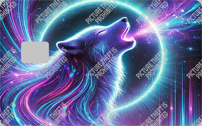 Bank  Card Sticker-BC-2941